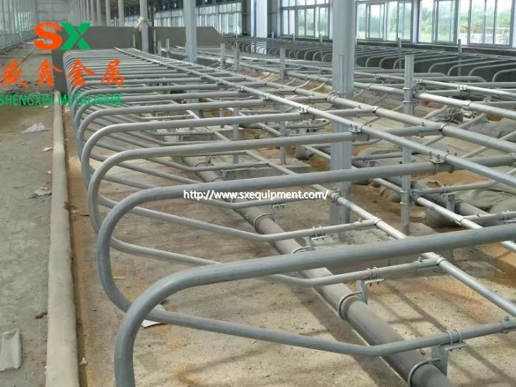 Vente directe ya ngombe Farm Equipement ya bibwele .
