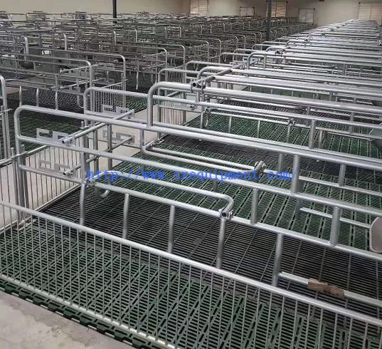 Farrowing crate in farm1